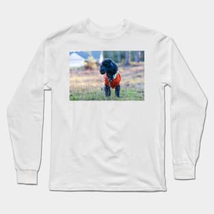 This is my yard 2 Long Sleeve T-Shirt